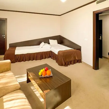 Dream Hotel