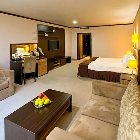 Dream Hotel